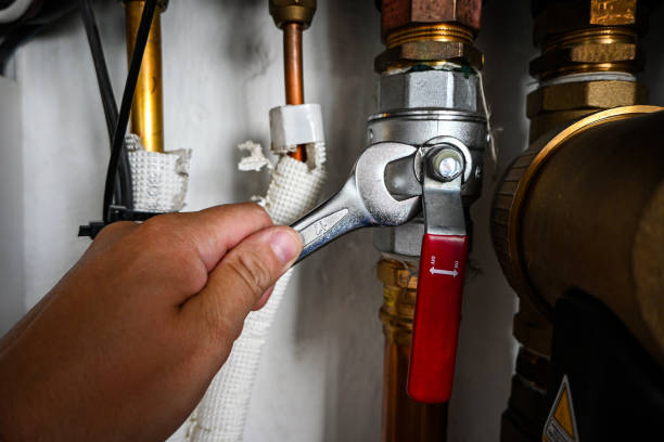 Best Plumbing Services Near Me  in Richmond Heights, OH